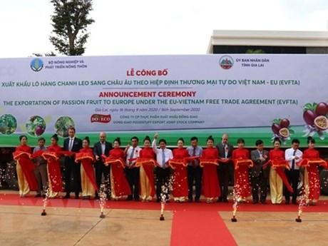 Đại biểu thực hiện nghi thức lễ cắt băng xuất khẩu chanh leo sang thị trường châu Âu. (Ảnh: Hồng Điệp/TTXVN)