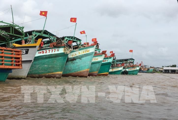 Tiền Giang thực hiện nhiều giải pháp quyết liệt phòng, chống khai thác hải sản bất hợp pháp, không báo cáo và không theo quy định (IUU). Ảnh tư liệu: Thế Anh/TTXVN