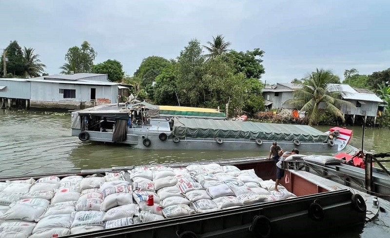 Hạt gạo Việt chiếm tỷ lệ khiêm tốn tại thị trường EU so với các nước Đông Nam Á