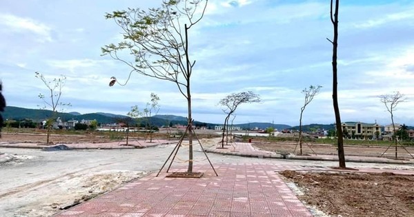 Sẽ không xảy ra "cơn sốt" đất trong năm nay