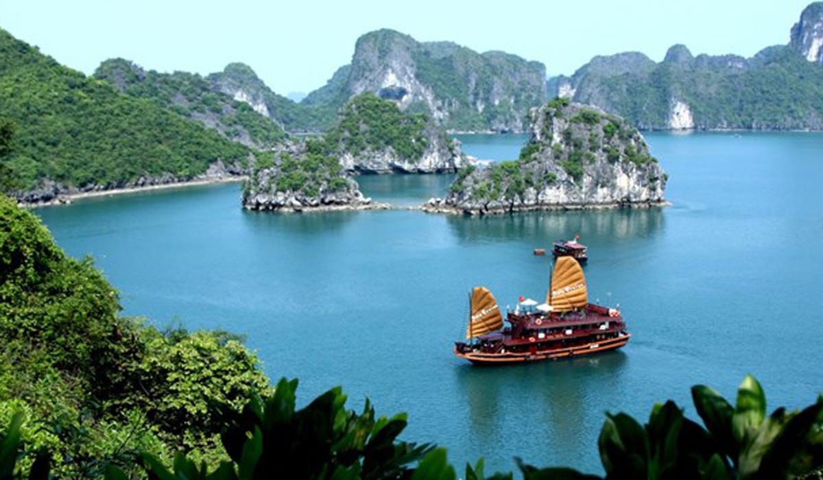 Ảnh minh họa