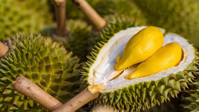 Sầu riêng Việt Nam được chú ý tại Anh