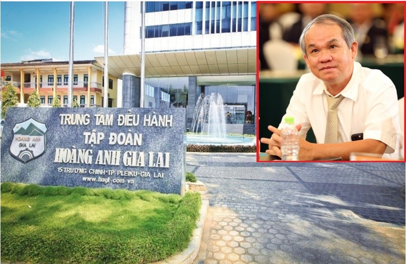 Giá sầu riêng tăng cao mang lại doanh thu tăng trưởng mạnh cho bầu Đức