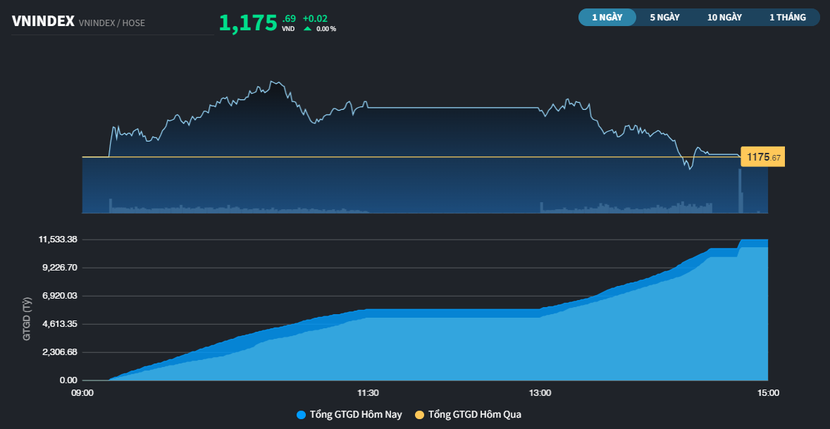 Nỗ lực rời rạc của một số cổ phiếu, VN-Index chỉ tăng 0,02 điểm