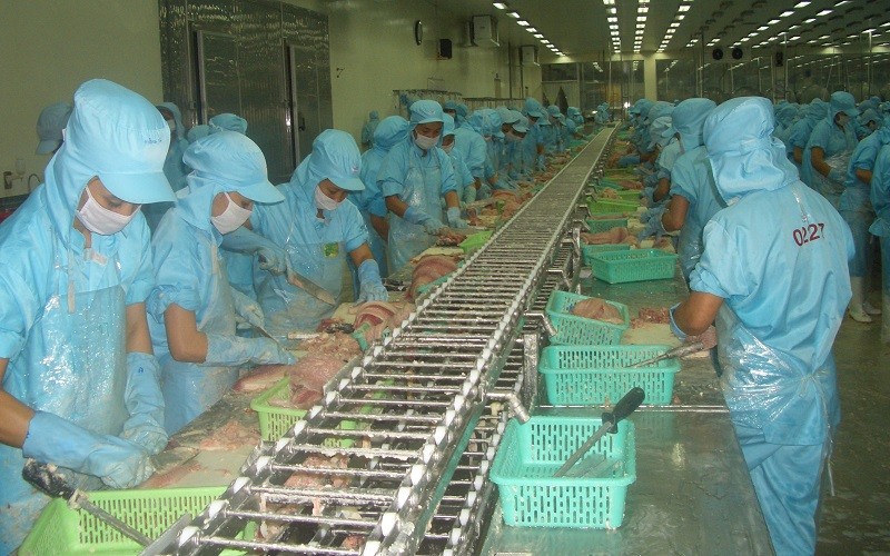 Trung Quốc sẽ tiếp tục là điểm đến hấp dẫn của doanh nghiệp xuất khẩu cá tra Việt Nam trong năm 2024 - Ảnh minh hoạ